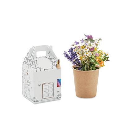 Grow house set for kids
